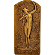 Francia, Medal, Flore, Arts & Culture, Coudray, SPL, Bronzo