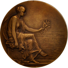 France, Politics, Society, War, Medal, 1938, SUP, Delannoy, Bronze, 57