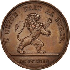 Belgium, Belgium, Léopold I coronation, Token, 1831, MS(60-62), Bronze, 25