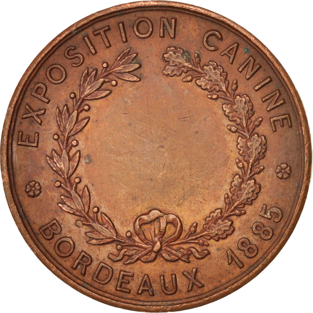 Francia, Medal, Exposition canine de Bordeaux, 1885, Sports & leisure, 1885