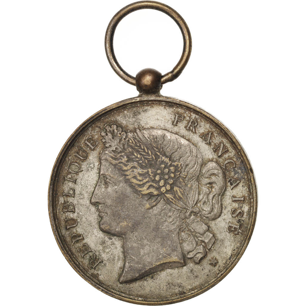 France, Medal, Ville de Paris, 17e Arrondissement de Paris, Politics, Society