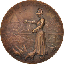 France, Medal, Société des Aviculteurs Bourbonnais, Fauna, Delamarre