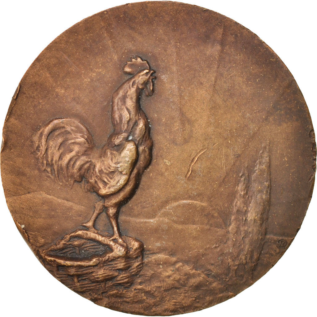 France, Medal, Société des Aviculteurs Bourbonnais, Fauna, Delamarre