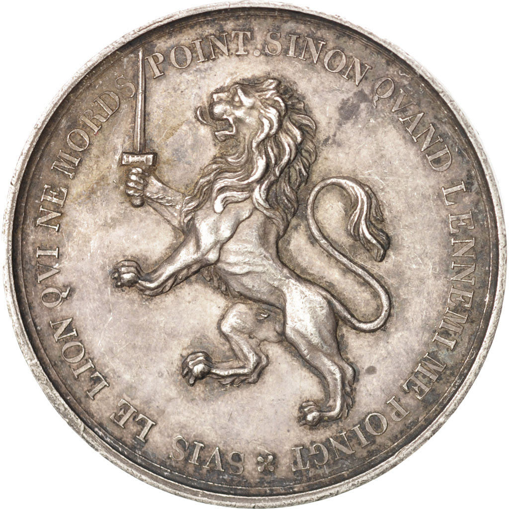 Frankrijk, Medal, Conseil municipal de la ville de Lyon, Politics, Society, War