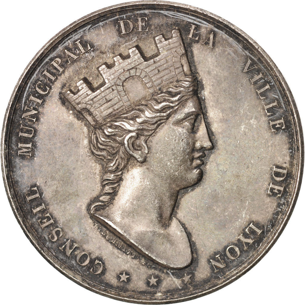 France, Medal, Conseil municipal de la ville de Lyon, Politics, Society, War