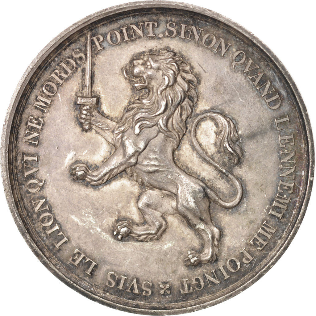 France, Medal, Conseil municipal de la ville de Lyon, Politics, Society, War