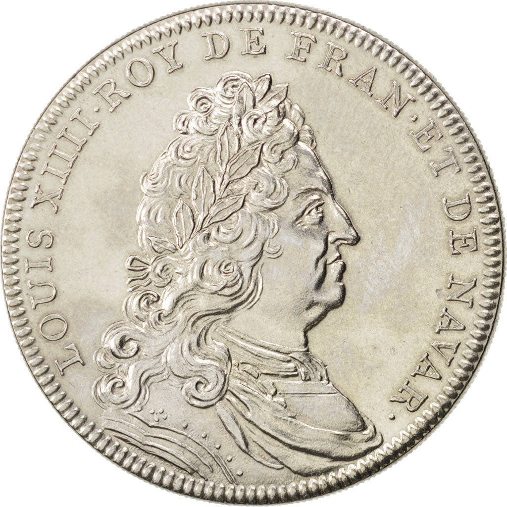 France, Medal, Les rois de France, Louis XIV, Louis XIV, History, AU(55-58)
