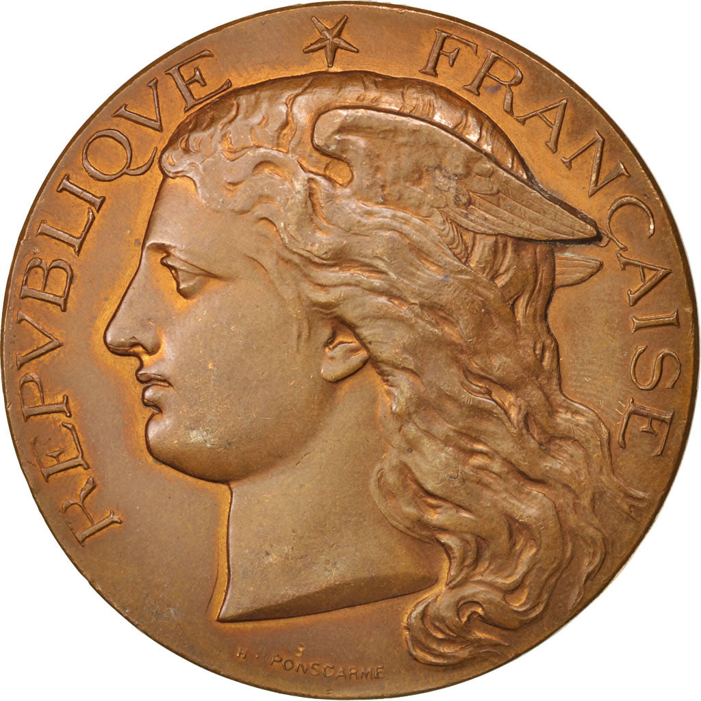 Médaille En Bronze – Espèce Ovine – Collection Médailles Françaises
