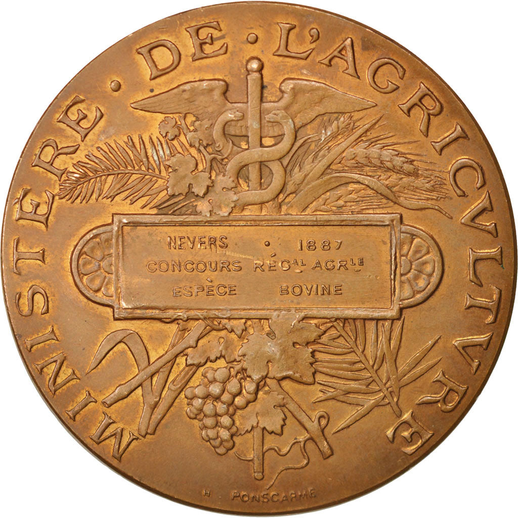 France, Medal, Ministère de l'Agriculture, Nevers, Espèce bovine, Business &