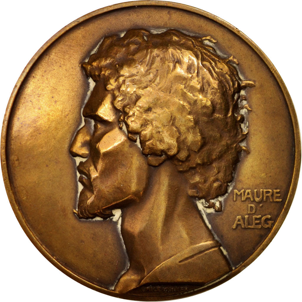 France, Medal, Maure d'Aleg, Mauritanie, History, 1930, Monier, AU(50-53)