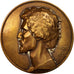 France, Medal, Maure d'Aleg, Mauritanie, History, 1930, Monier, AU(50-53)