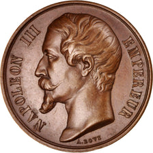 France, Medal, Algérie, Chemins de fer, Second French Empire, Railway, 1857