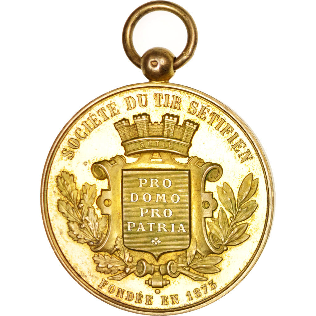 France, Medal, Société de tir Sétifien, Sports & leisure, 1878, AU(55-58)