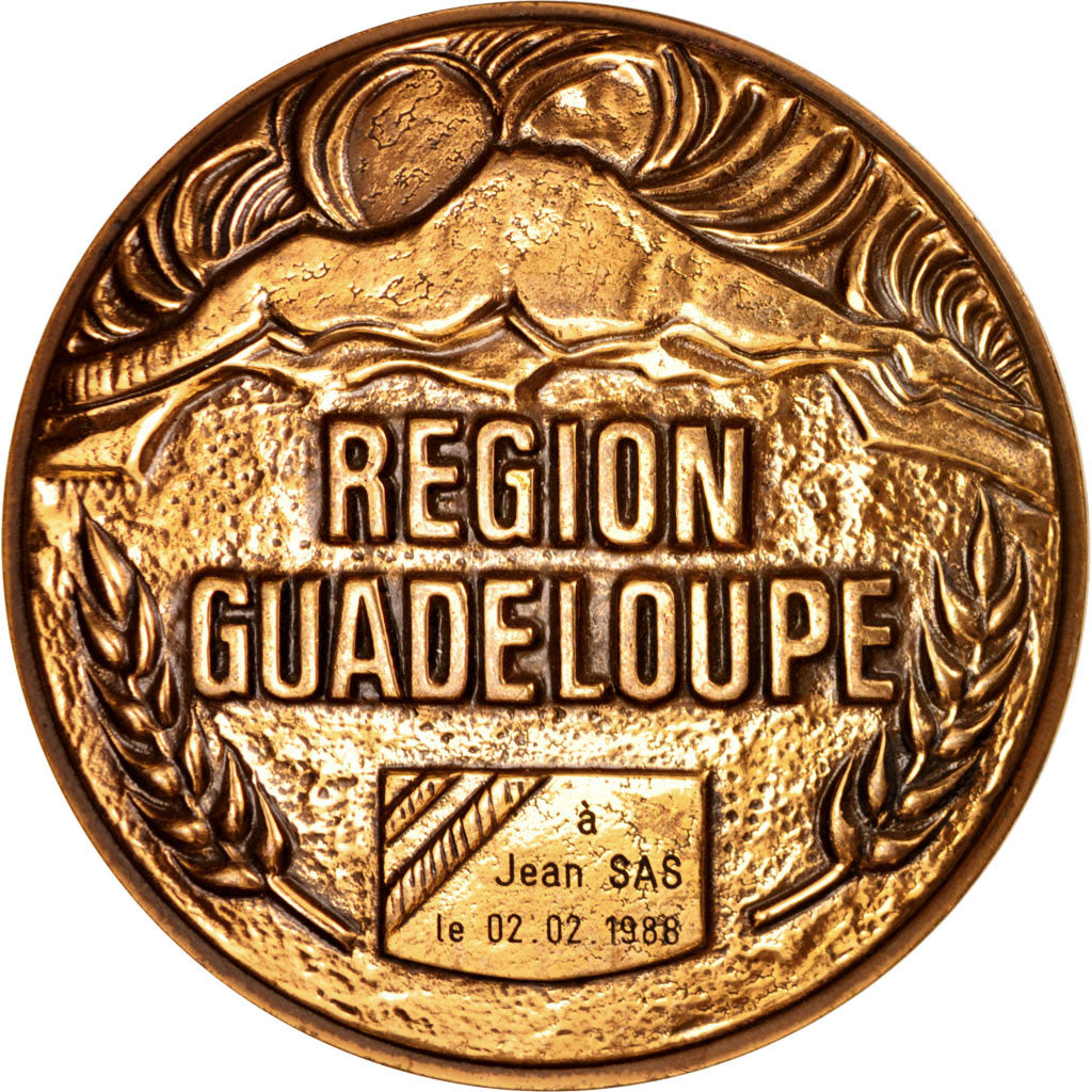 Francia, Medal, Région Guadeloupe, Politics, Society, War, 1988, MBC+, Bronce