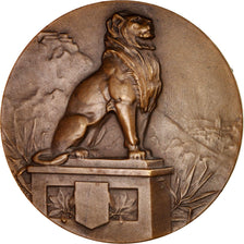 Francja, Medal, Trzecia Republika Francuska, France et colonies, Préparation