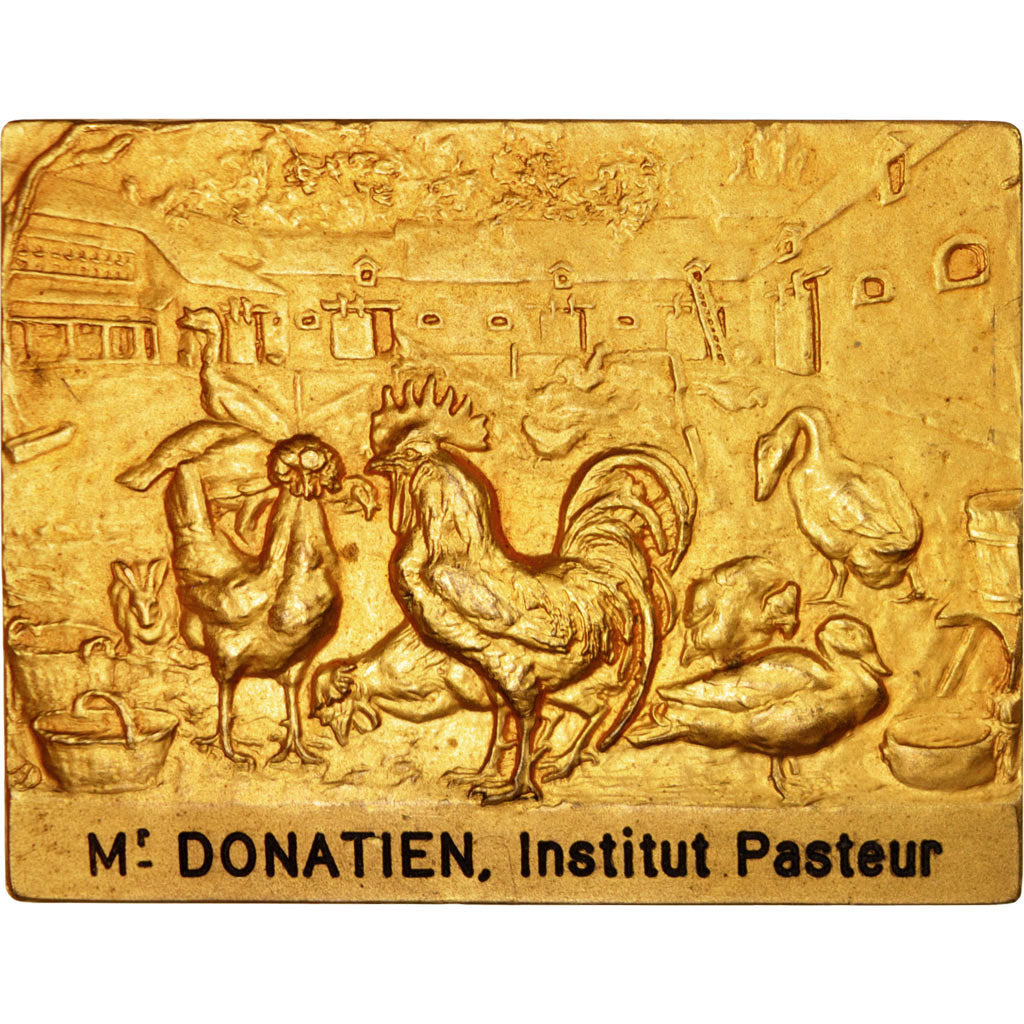 Francia, Medal, Exposition d'Aviculture d'Alger, Fauna, 1931, SPL, Bronzo