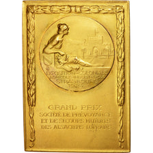 Frankreich, Medal, Exposition coloniale de Strasbourg, Grand Jury, Arts &