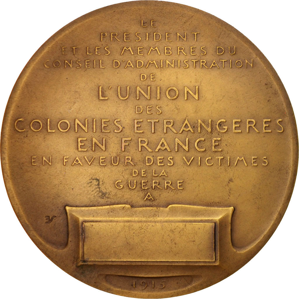 France, L'Union des Colonies Étrangères en France, History, 1915, Medal, TT...