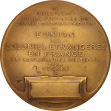 France, L'Union des Colonies Étrangères en France, History, 1915, Medal, TT...