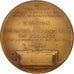 France, L'Union des Colonies Étrangères en France, History, 1915, Medal, TT...