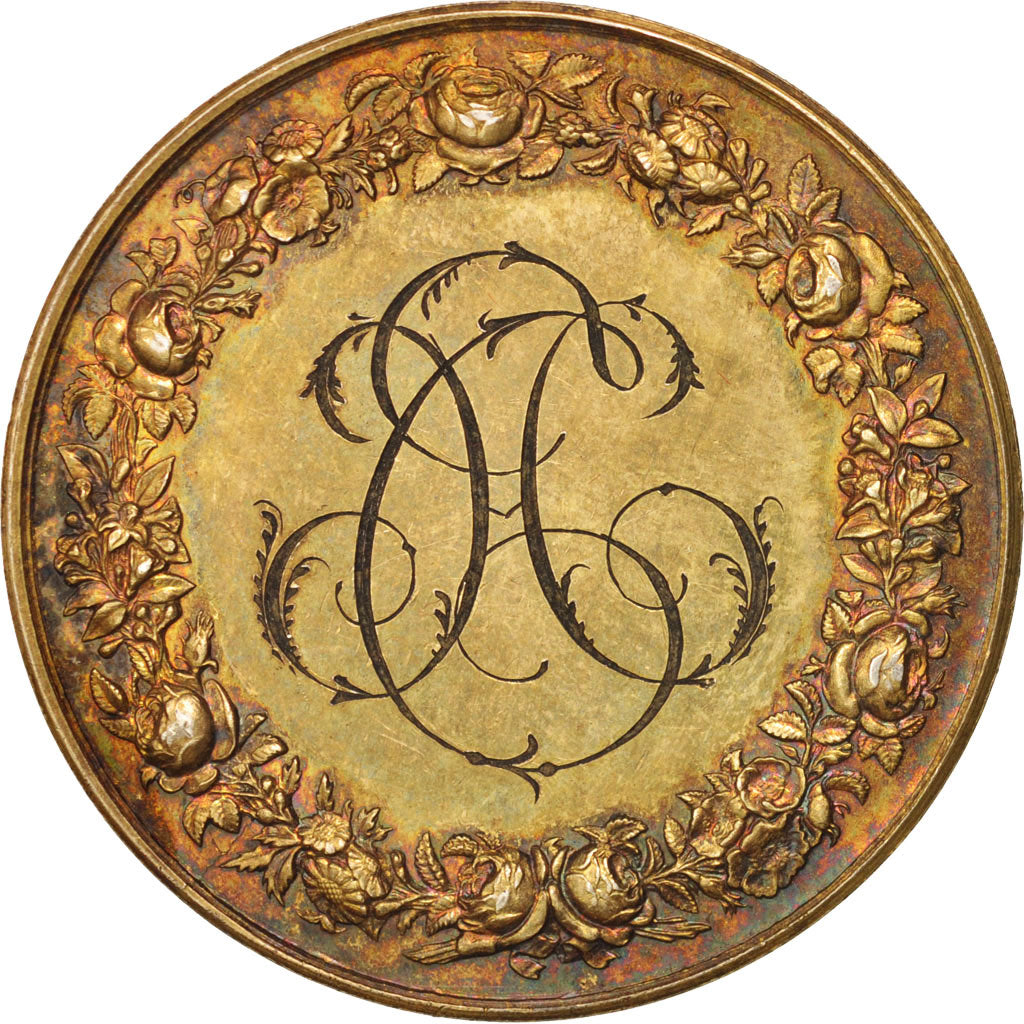 Frankreich, Wedding medal, Religions & beliefs, 1879, Depaulis, Medal, AU(55-...
