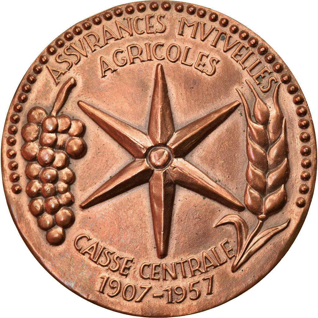 France, Medal, Assurances Mutuelles Agricoles, Africa, 1957, MS(63), Bronze