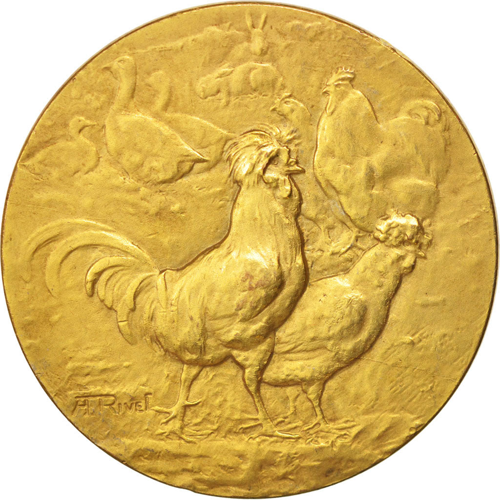 France, Medal, Société d'aviculture de l'Aube, Business & industry, Rivet
