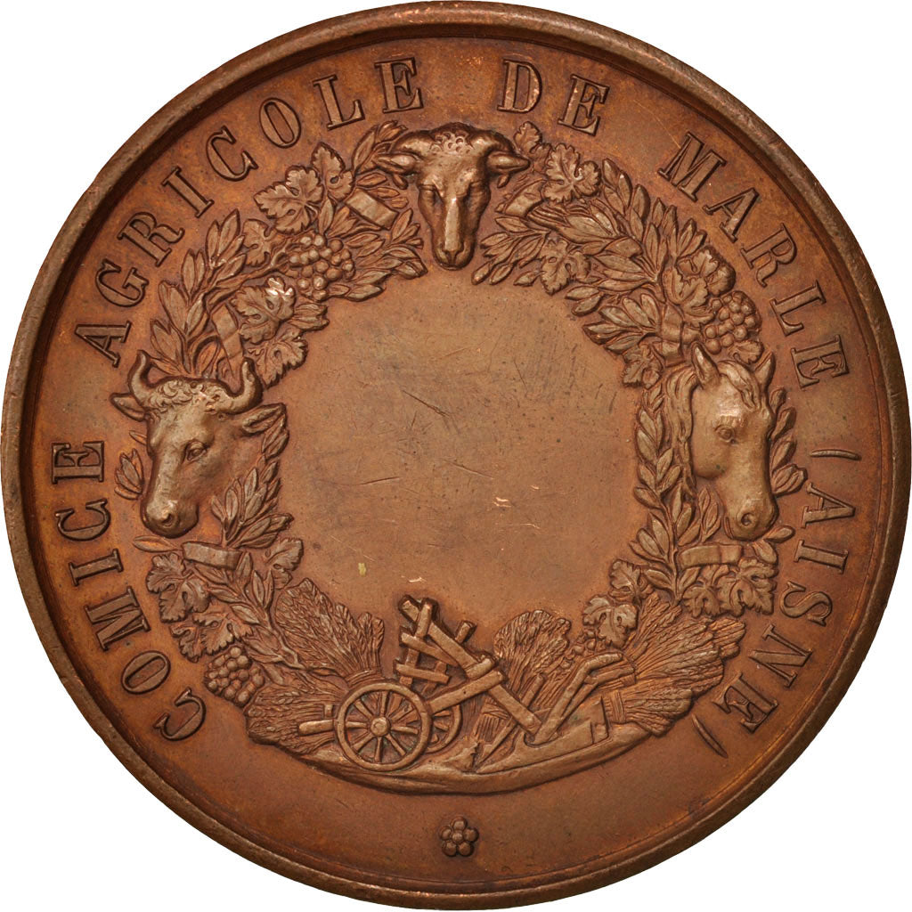 France, Medal, Comice agricole de Marle, Business & industry, AU(50-53), Copper