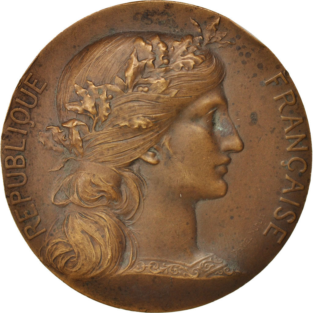 France, Medal, Offert par Mr. Faure, Député, History, XIXth Century, Dupuis.D