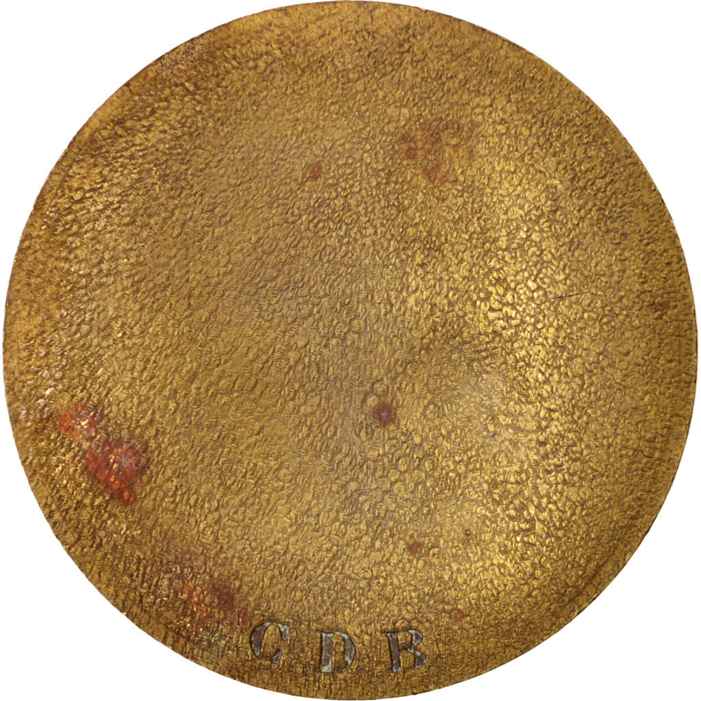 France, Medal, Victor Hugo, Arts & Culture, AU(50-53), Bronze, 39