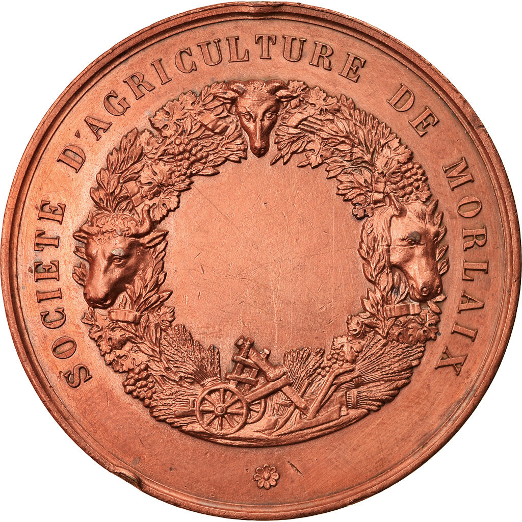 France, Medal, Olivier de Serres, Société d'Agriculture de Morlaix, De