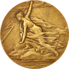 France, Medal, Syndicat Professionnel des Industries Electriques, Business &