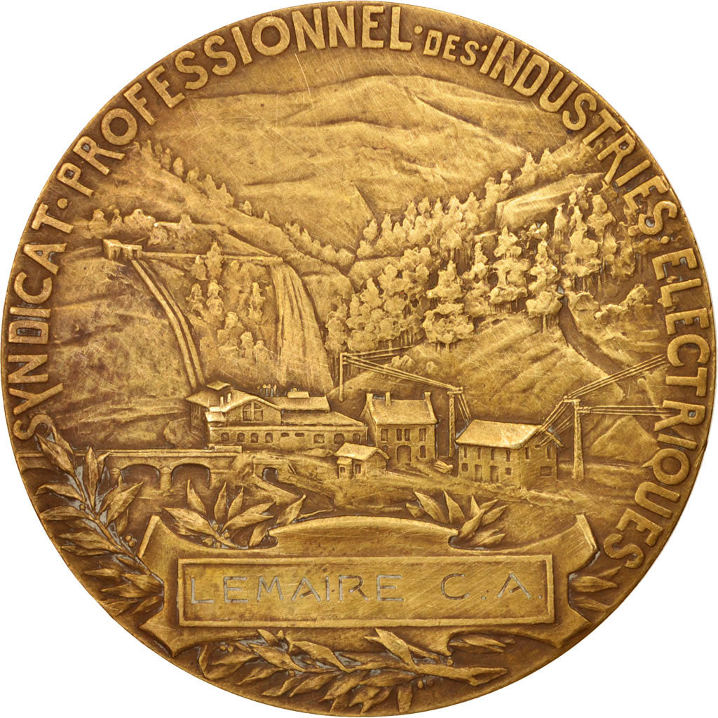 Francia, Medal, Syndicat Professionnel des Industries Electriques, Business &