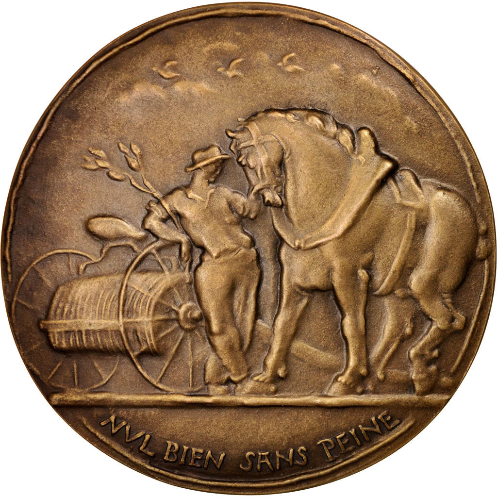 France, Medal, SAMF, Au jour la vie, nul bien sans peine