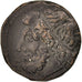 Hieron II, Syracuse, Litra, Syracuse, VF(30-35), Bronze