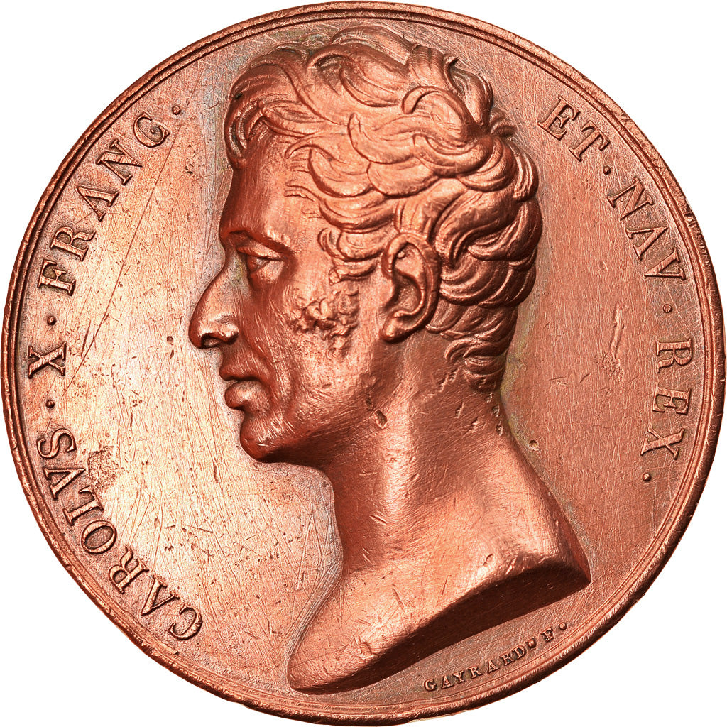 France, Medal, Charles X, History, 1821, Gayrard, EF(40-45), Copper