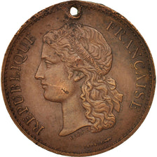 France, Medal, 1789 Centenary, Worldwide exhibition, History, 1889, Barre