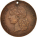 France, Medal, 1789 Centenary, Worldwide exhibition, History, 1889, Barre