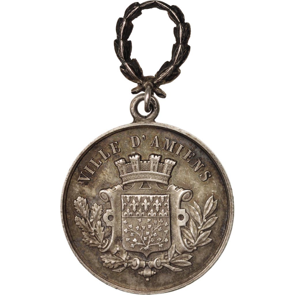France, Medal, Ville d'Amiens, Fédération Nationales des sociétés de natation