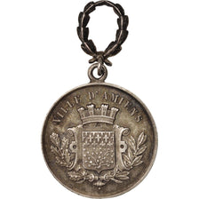 France, Medal, Ville d'Amiens, Fédération Nationales des sociétés de natation