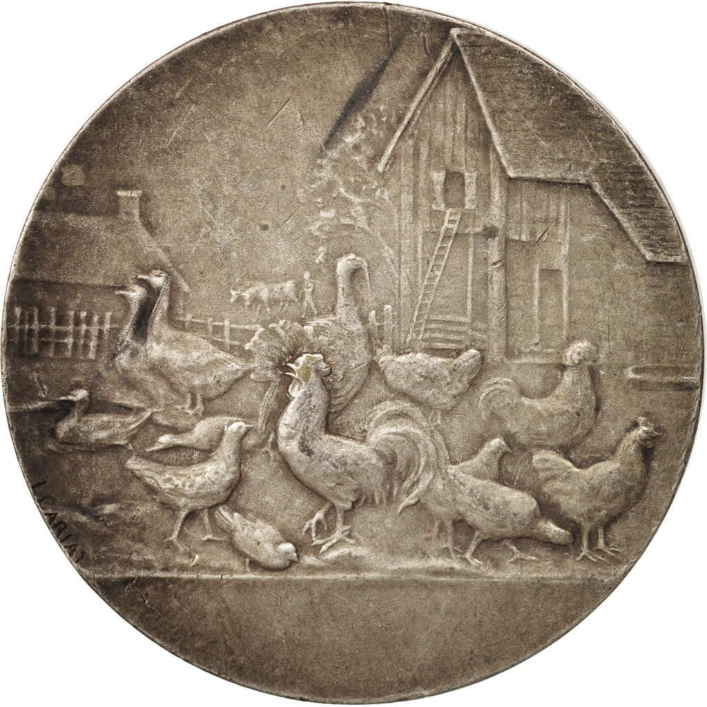 France, Medal, Club des aviculteurs et éleveurs amateurs du Douaisis, Business