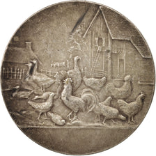 France, Medal, Club des aviculteurs et éleveurs amateurs du Douaisis, Business