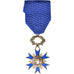 France, Ordre National du Mérite, Medal, Excellent Quality, Argent, 38