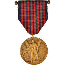 Belgium, Médaille du Volontaire 1940-1945, Medal, Excellent Quality, Bronze, 37