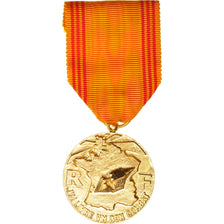 France, Médaille du Réfractaire, Medal, Excellent Quality, Bronze, 36