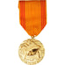 France, Médaille du Réfractaire, Medal, Excellent Quality, Bronze, 36