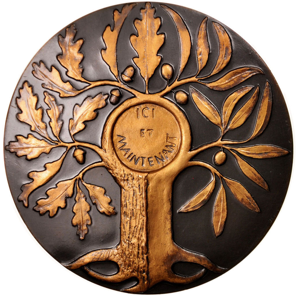 Francia, Medal, François Mitterrand, History, 1989, Scarpa, SPL-, Bronzo