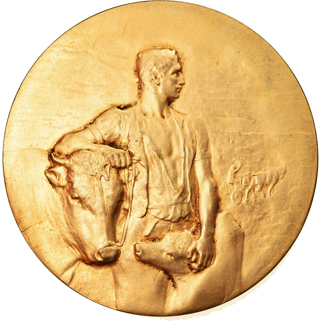 France, Médaille, Agriculture, Elevage, Taureau, SUP, Gilt Bronze