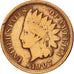 United States, Indian Head Cent, Cent, 1907, U.S. Mint, Philadelphia