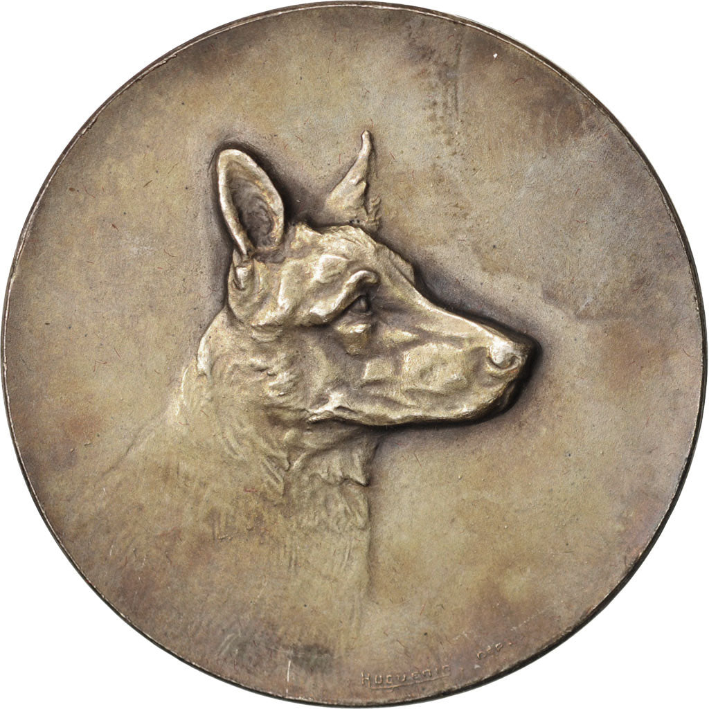 France, Medal, Dog medal, Sports & leisure, AU(55-58), Silvered bronze, 40